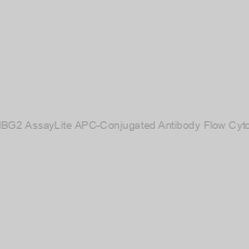 Image of Human HBG2 AssayLite APC-Conjugated Antibody Flow Cytometry Kit